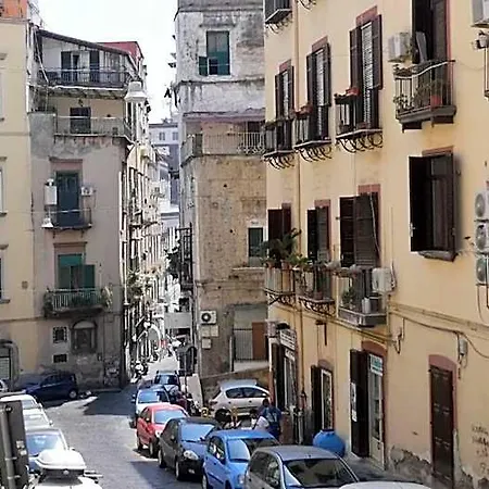 Punto Stella